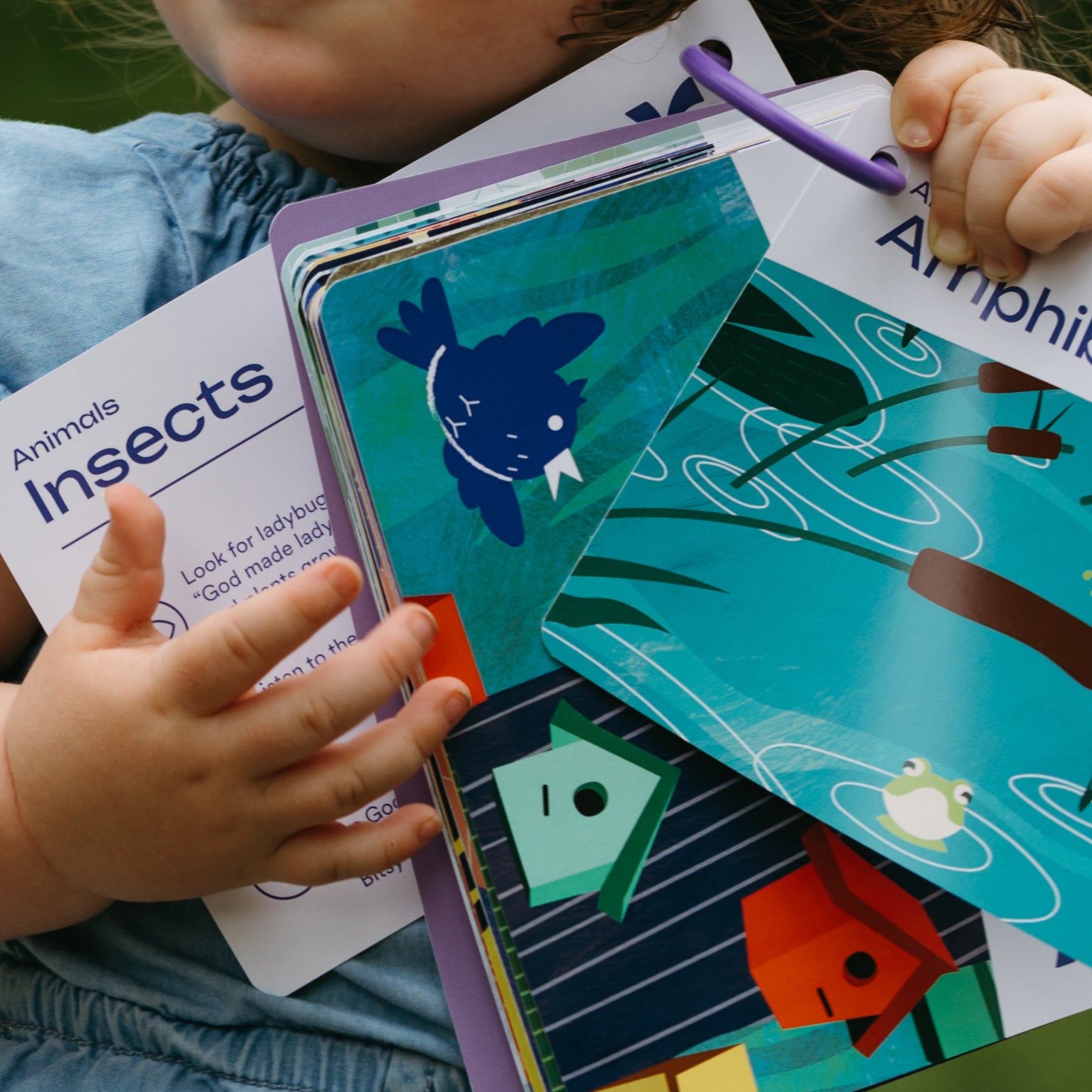 Nature's Wonders Activity Cards