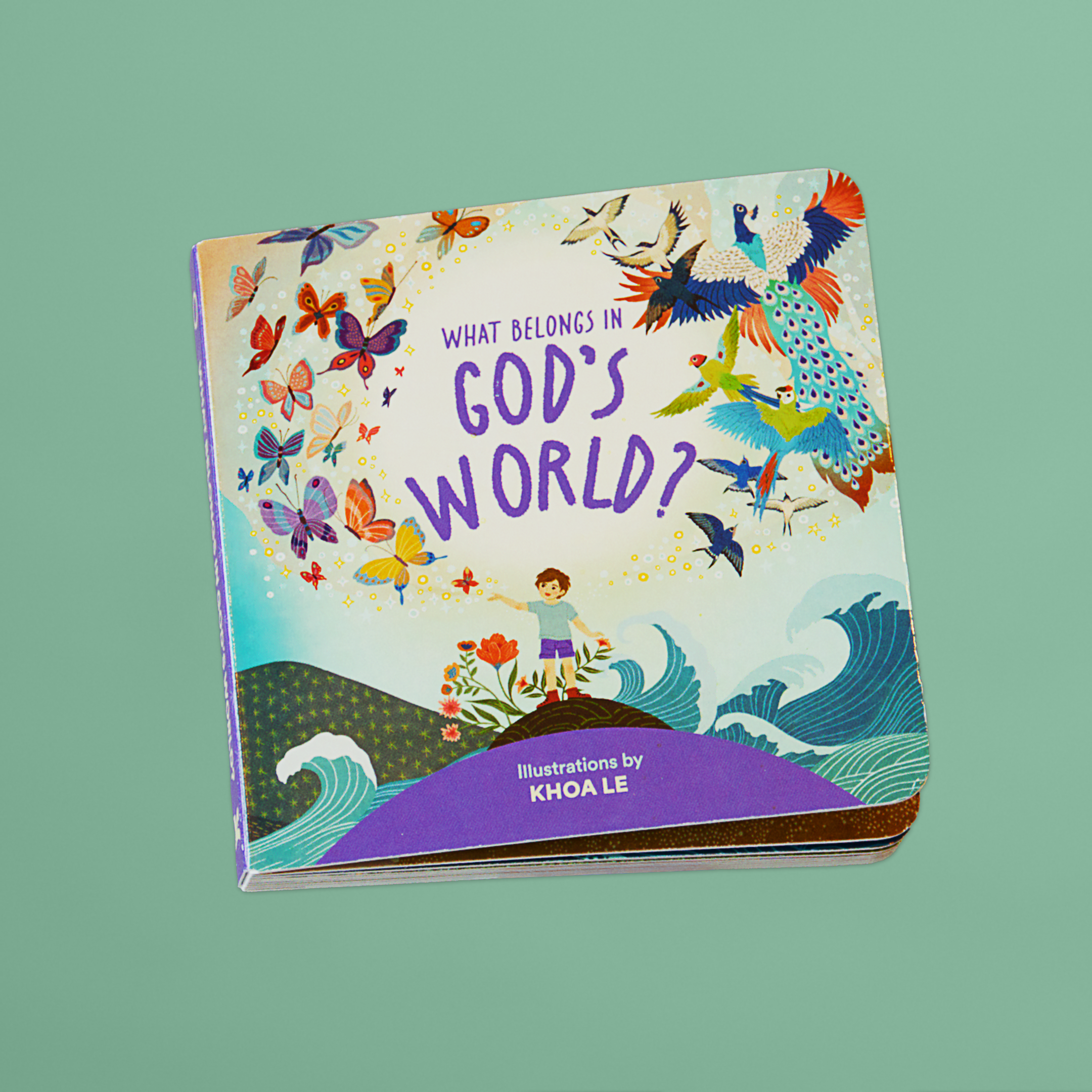 "What Belongs in God's World?" Board Book