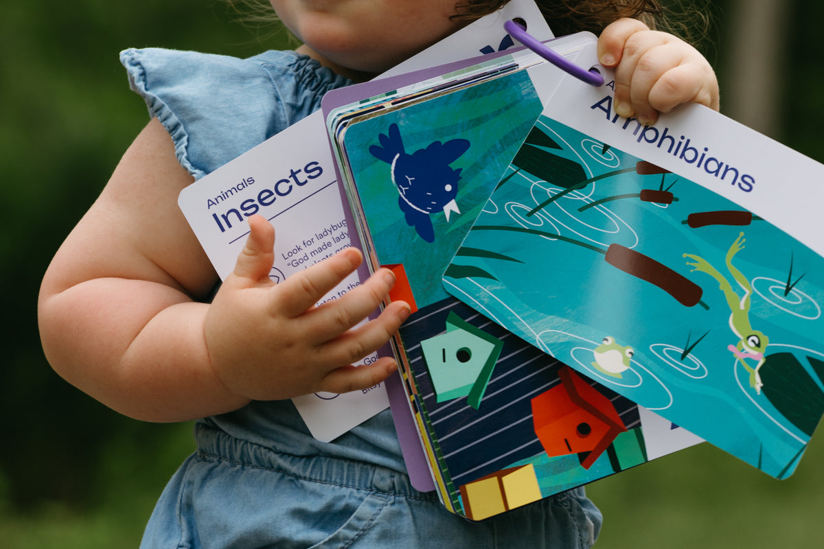 Nature's Wonders Activity Cards