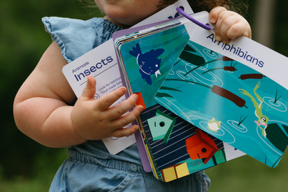 Nature's Wonders Activity Cards