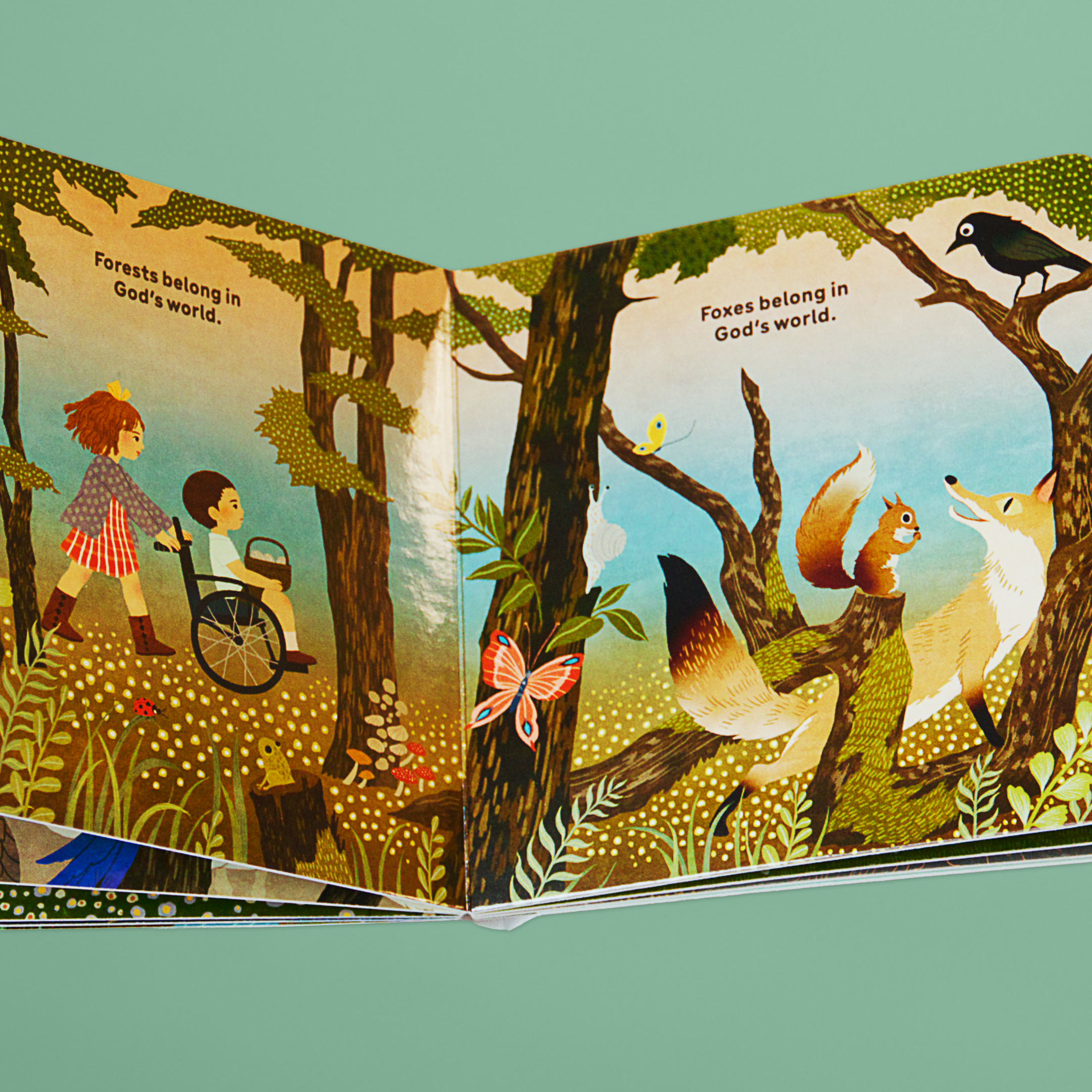 "What Belongs in God's World?" Board Book