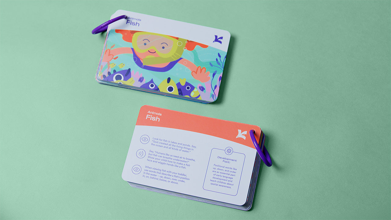 Nature's Wonders Activity Cards