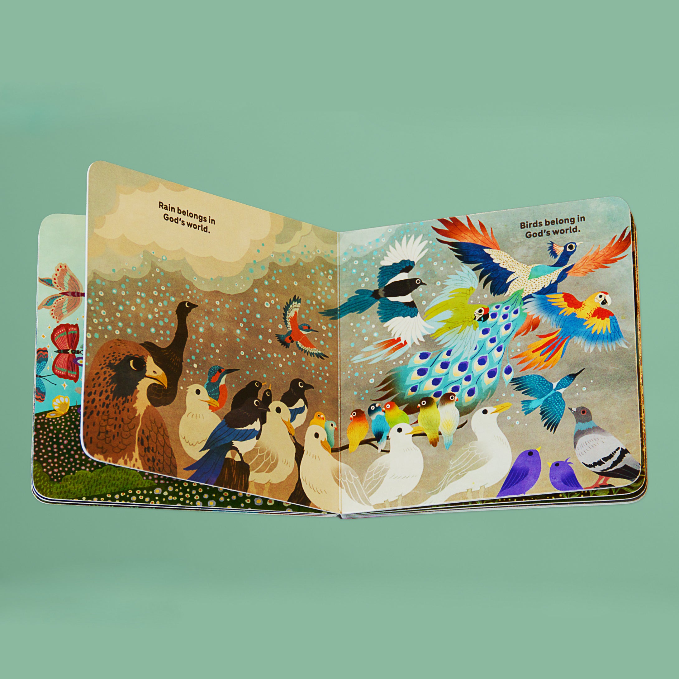 "What Belongs in God's World?" Board Book