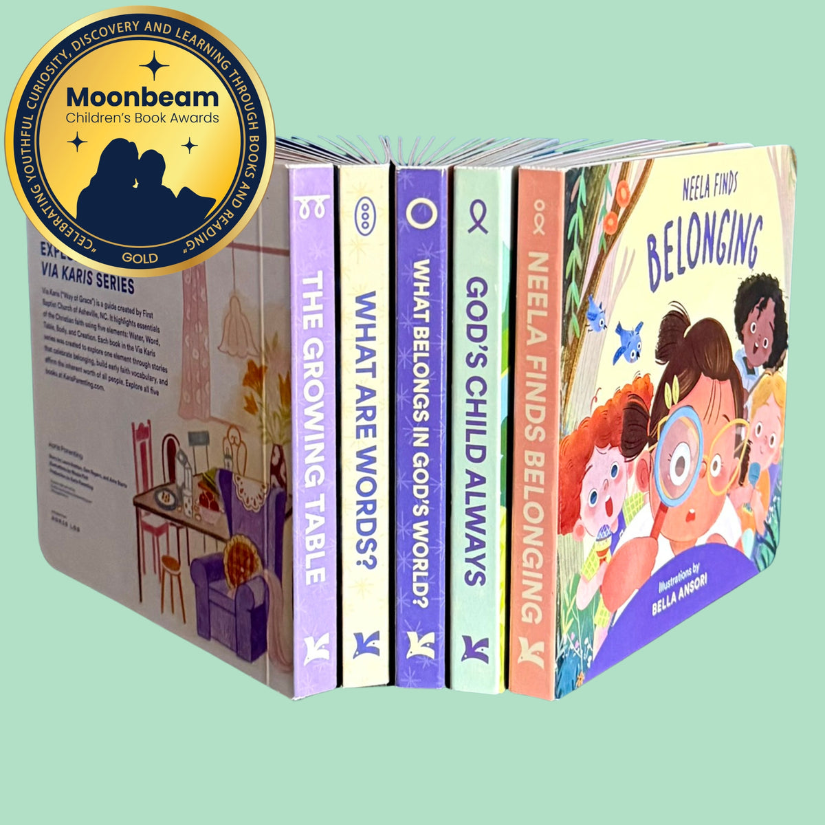 The Via Karis Series Box Set: 5 Board Book Bundle